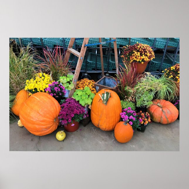 Poster Autumn Decor (Devant)