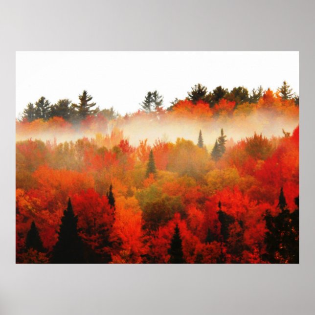 Poster Autumn Field Adirondacks Paysage de la scène des a (Devant)