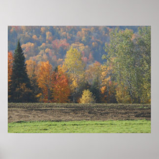 Poster Autumn Field Adirondacks Paysage de la scène des a