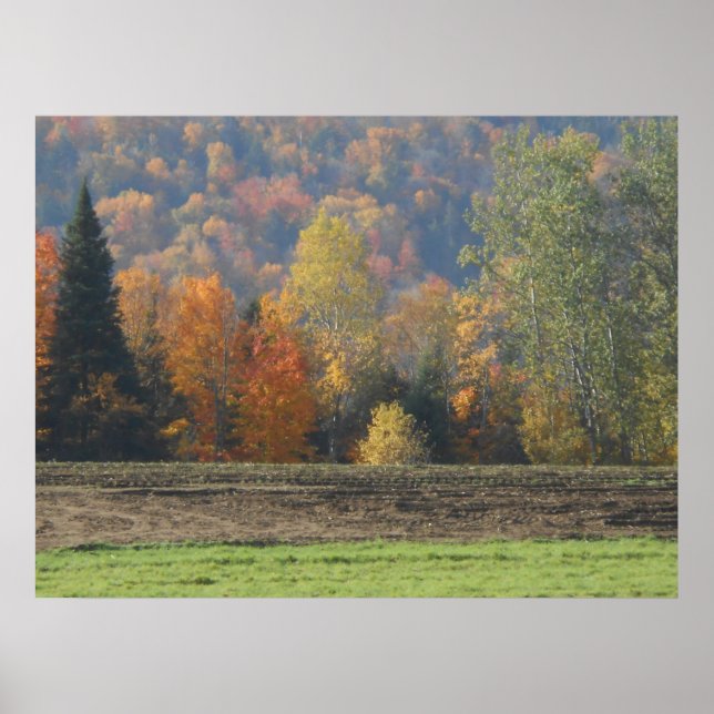 Poster Autumn Field Adirondacks Paysage de la scène des a (Devant)
