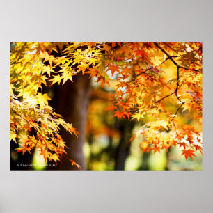 Poster Autumn Leaves