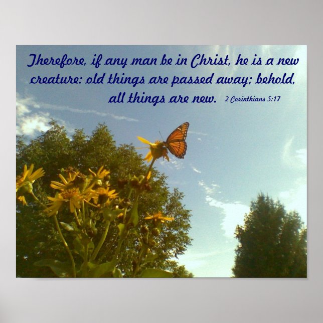 Poster aux papillons (Devant)