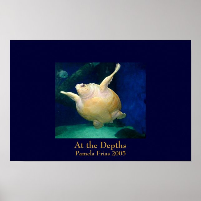 Poster Aux profondeurs (Devant)