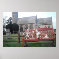 Poster Avec Basset Hound Visite De La Belle Église