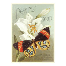 Poster avec Vintage Pears Sap Print