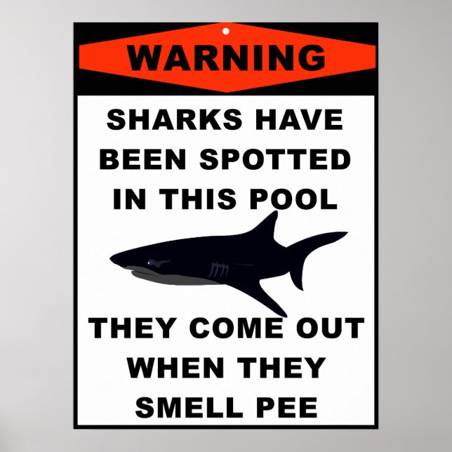 Poster Avertissement concernant le requin du pool (Devant)