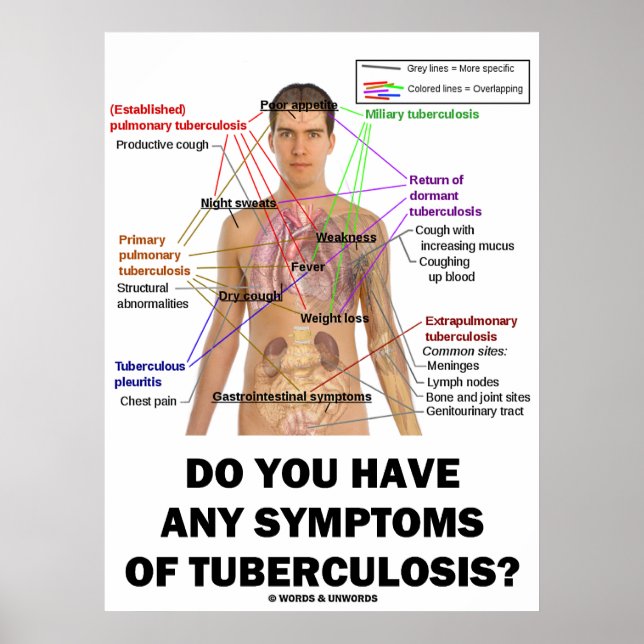 Poster Avez-Vous Des Symptômes De Tuberculose ? (Devant)