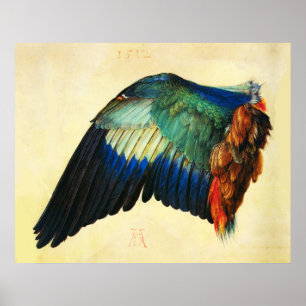 Poster AVION D'UN ROULEUR EUROPÉEN Durer
