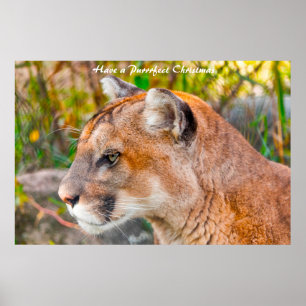 Poster Avoir un Noël parfait