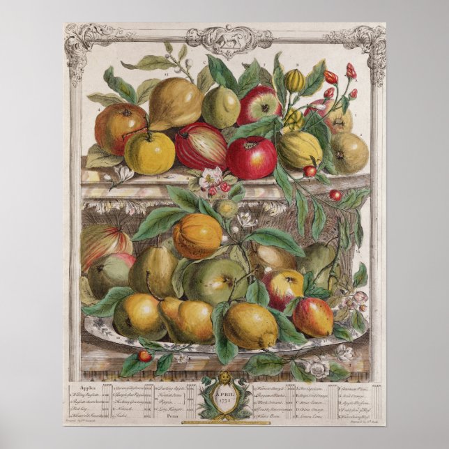 Poster Avril, "Douze mois de fruits" (Devant)