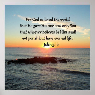 POSTER AWE-INSPIRING JOHN 3:16 SCELER