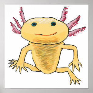 Poster Axolotl
