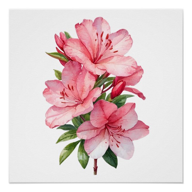 Poster Azalea peinture aquarelle (Devant)