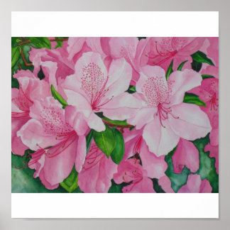 Poster Azaleas doux
