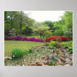 Poster Azaleas en Oklahoma