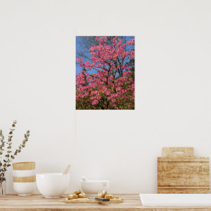 Poster Azalées roses jolies Floral