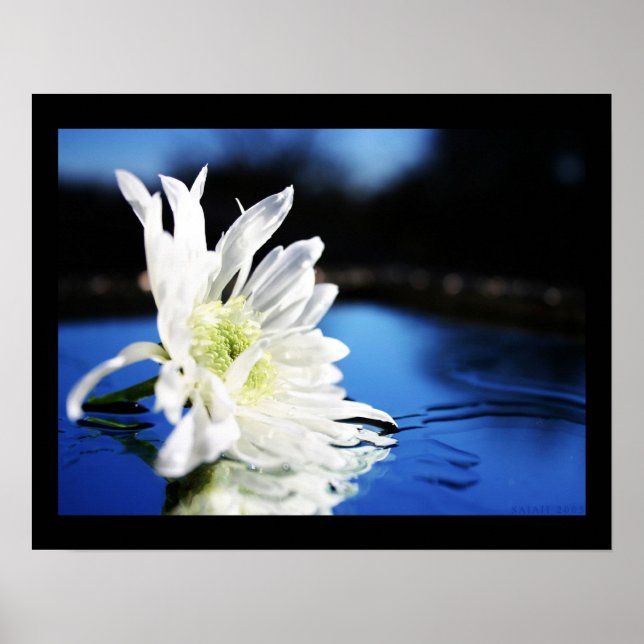 Poster azura (Devant)