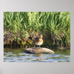 Poster B18 Écran inférieur