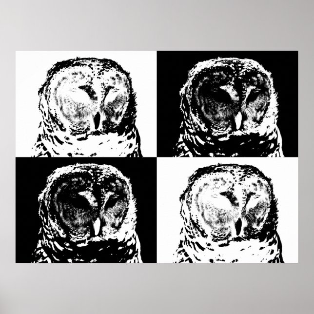 Poster B/W Barred Owl Pop Art (Devant)