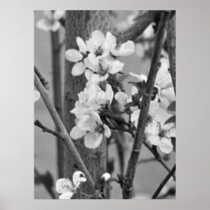 Poster B&W Floral - Fleurs délicates