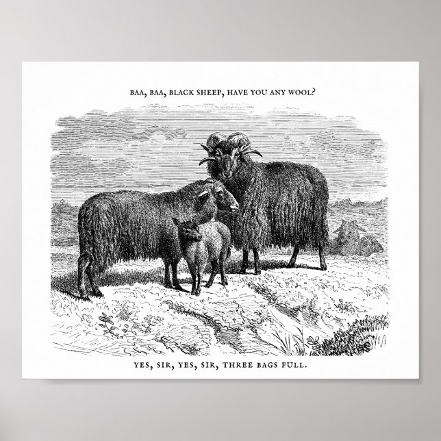 Poster Baa, Baa, Rhyme de pépinière de moutons noirs (Devant)