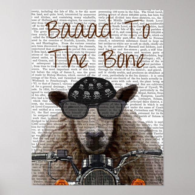 Poster Baaad To the Bone (Devant)