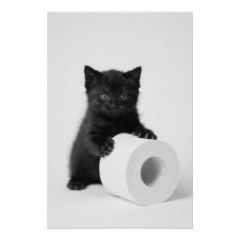 Poster Baby Black Kitten Guarding Toilet Paper Roll On