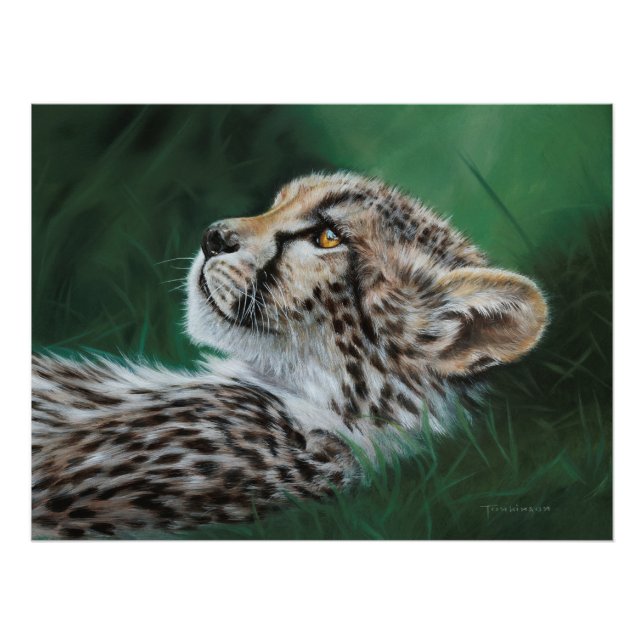 Poster Baby Cheetah (Vorne)