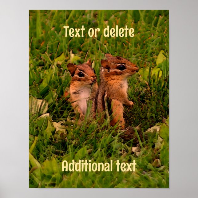 Poster Baby Chipmunks Animal Art Personnalisé (Devant)