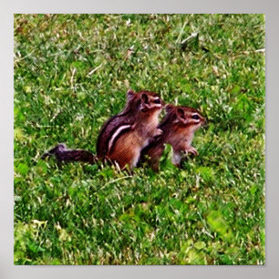 Poster Baby Chipmunks Premier Jour #6 Animal