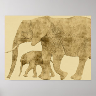 Poster Baby Elephant avec c'est Mère