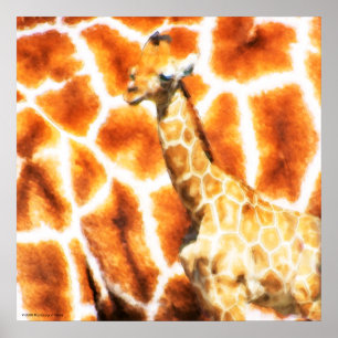 Poster Baby Giraffe