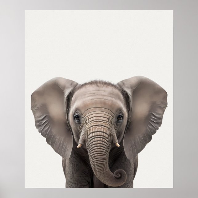 Poster Baby Safari Africain Jungle Animaux Éléphant (Devant)