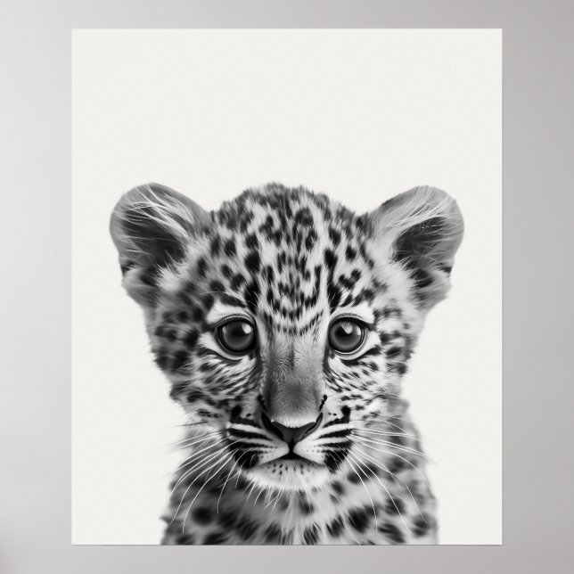 Poster Baby Safari Africain Jungle Animaux Leopard (Devant)