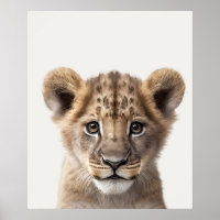 Baby Safari Africain Jungle Animaux Lion Cub
