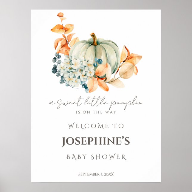 Poster Baby shower d'automne Sweet Little Citrouille Bien (Devant)
