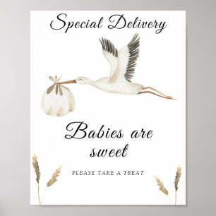 Poster Baby shower de cigogne - les bébés sont doux