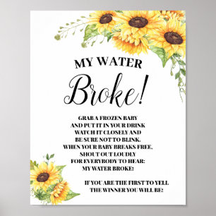 Poster Baby shower du panneau du jeu My Water Broke