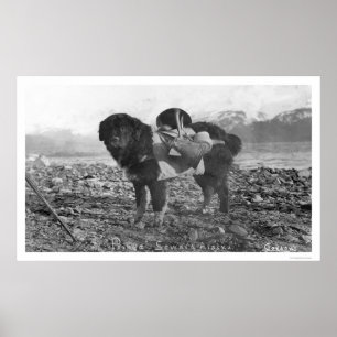 Poster Backpacking Dog Seward, Alaska 1911