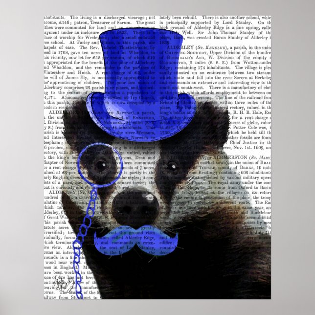 Poster Badger avec chapeau bleu et moustache (Devant)