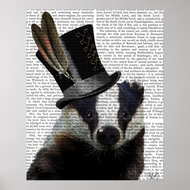 Poster Badger de Steampunk dans le chapeau supérieur (Devant)