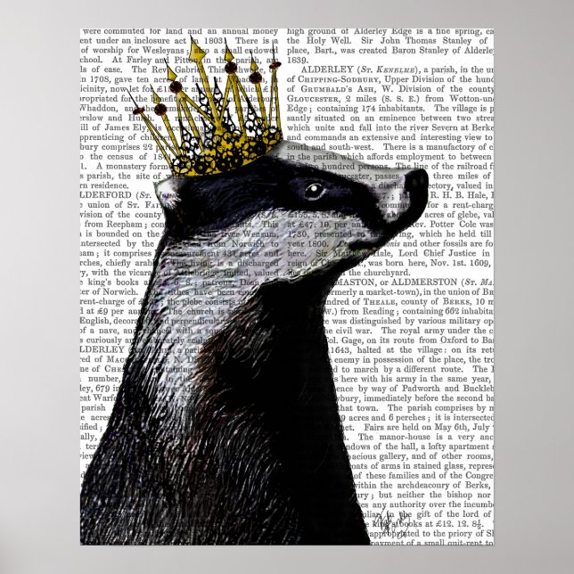 Poster Badger King (Devant)
