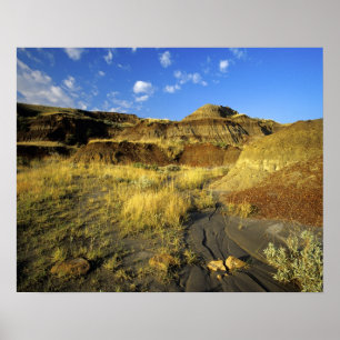 Poster Badlands at Dinosaur Provincial Park in Alberta,