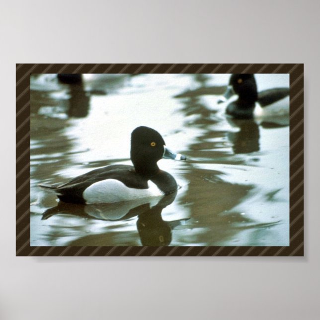 Poster Bague encastrée croupie (Devant)