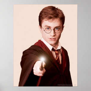 Poster Baguette Harry Potter Points