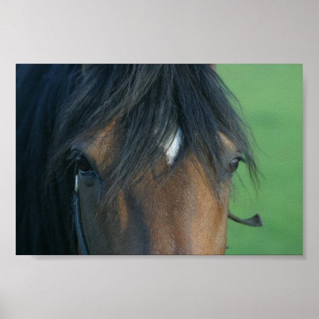 Poster Baie Closeup (Devant)