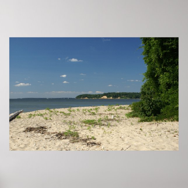 Poster Baie de Chesapeake (Devant)