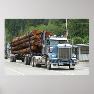 Poster Baie de Saltery