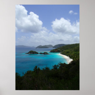 Poster Baie de tronc, St John, USVI