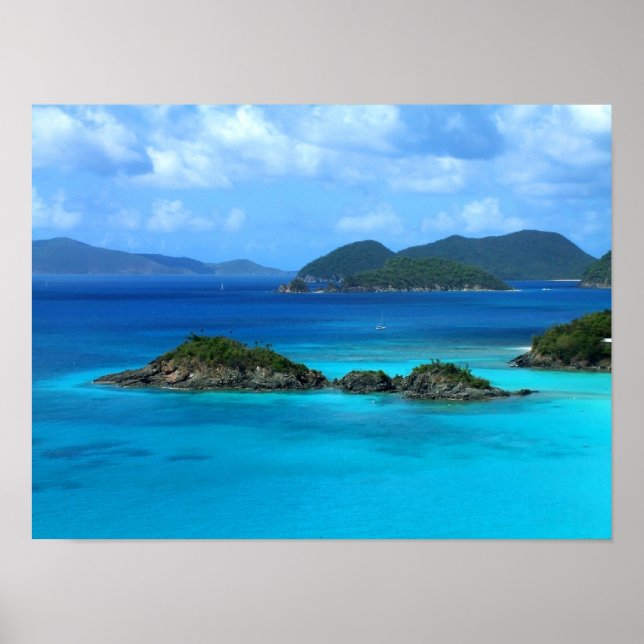 Poster Baie du tronc (Devant)